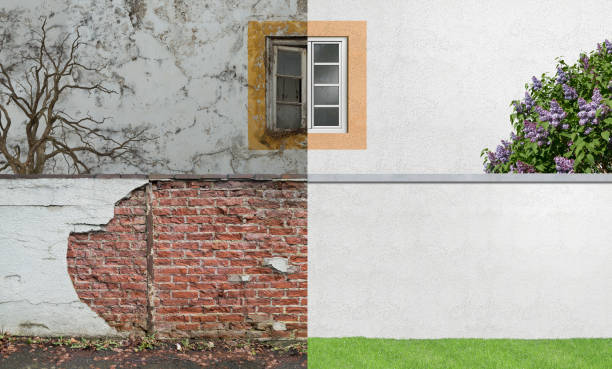 Best Mold Damage Restoration  in Poplar Cotton Center, CA